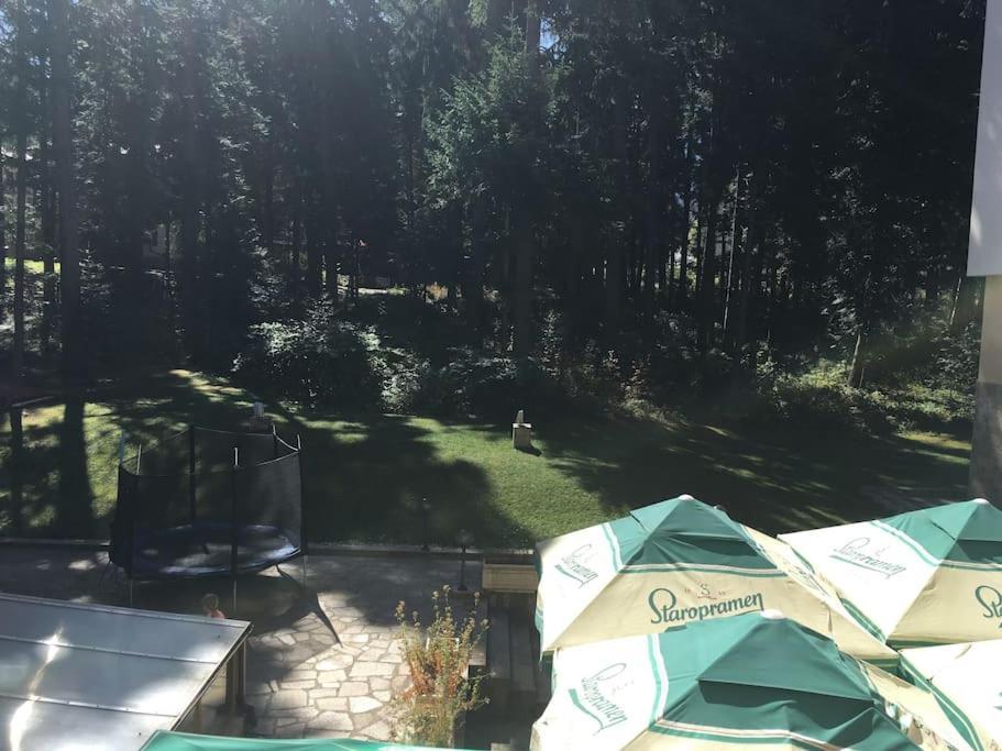 Villa Park - Beniart Studio - Nr 109 - Near Gondola Lift Borovets Esterno foto